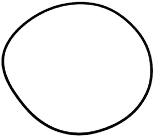 УПЛОТНИТЕЛЬНОЕ КОЛЬЦО 04650 EPDM