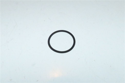 5163778. УПЛОТНИТЕЛЬ OR ORM 0170 15 EPDM