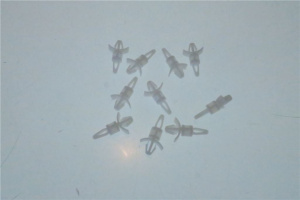 ЗАЖИМ ДЛЯ ФИКСАЦИИ - 10 ШТ. RATIONAL 40.03.533P