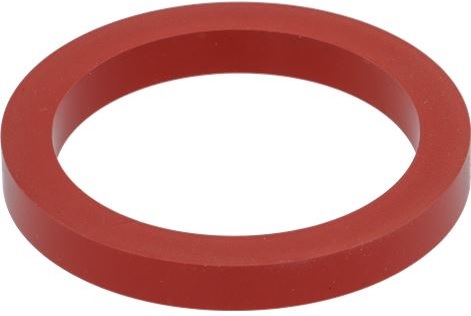 10063427. УПЛОТНИТЕЛЬ ХОЛДЕРА GAGGIA 421946504641