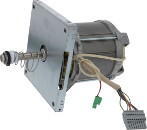 ЭЛЕКТРОДВИГАТЕЛЬ L9ZW84D-586