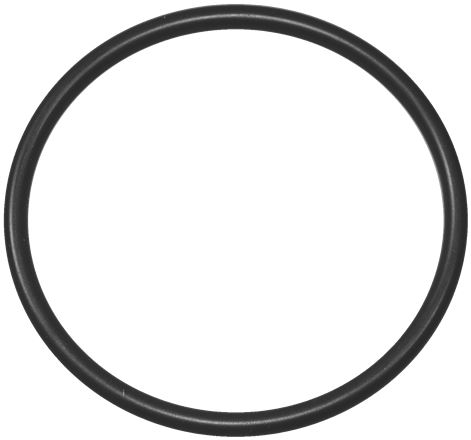 7110733. УПЛОТНИТЕЛЬ ORM 0475-30 - 5 шт RATIONAL 5012.0560