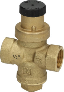 РЕДУКТОР ДАВЛЕНИЯ Ø 1/2"FF ELECTROLUX PROFESSIONAL 002678