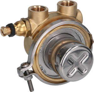 ОБЪЕМНЫЙ НАСОС ROTOFLOW Ø 3/8" GAS