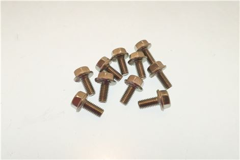 5132321. ВИНТ С ШЕСТИГРАННОЙ ГОЛОВКОЙ С ШАЙБОЙ M5x10-10шт RATIONAL 10.01.214P