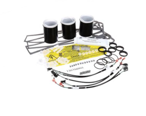 PM KIT - WENDY'S 3P AC GARLAND 4609287