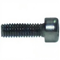 10253729. ВИНТ ЦИЛИНДРИЧЕСКИЙ M4Х12 T20 RATIONAL 24.01.200P