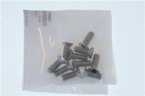 5135598. ВИНТЫ С ПОТАЙНОЙ ГОЛОВКОЙ Torx M6x16 - 10шт RATIONAL 1006.1962P
