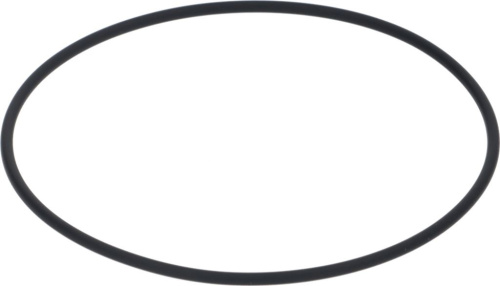 10216641. КОЛЬЦО УПЛОТНИТЕЛЬНОЕ Ø 94,92X2,62 ВИТОН SANREMO 10505088C