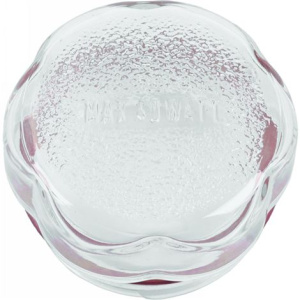 GLAS GR-LEUCHTE MIT CONVOTHERM 5005017