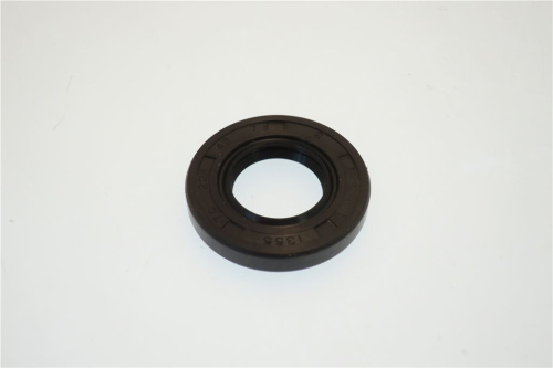 5096068. САЛЬНИК