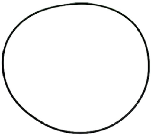 3122121. УПЛОТНИТЕЛЬНОЕ КОЛЬЦО 02375 EPDM
