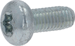 OVAL HEAD SCREW TORX M5X12 P3 CONVOTHERM 8012001