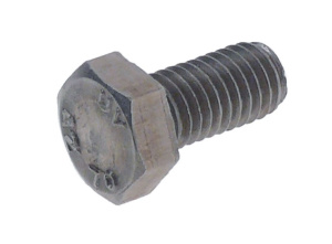 ВИНТ С ШЕСТИГРАННОЙ ГОЛОВКОЙ М6Х10 (УПАК.10 ШТ.) RATIONAL 1006.0762