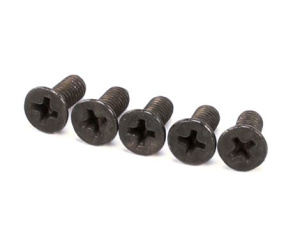 FLAT HEAD SCREW M4X10 A2 5 PC. CONVOTHERM 8064124