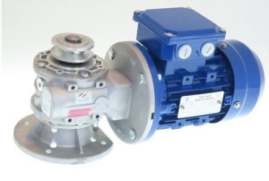 МОТОР С РЕДУКТОРОМ ZANOLLI MOTO0056