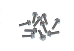 СТОПОРНЫЙ ЗУБЧАТЫЙ ВИНТ M5X16 (УПАК.10 ШТ.) RATIONAL 1005.2100P