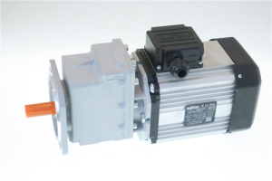 МОТОР-РЕДУКТОР