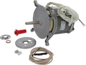 ДВИГАТЕЛЬ HANNING L9FGW4D-395 RATIONAL 3100.1023