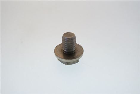 7105339. ВИНТ С ШЕСТИГРАННОЙ ГОЛОВКОЙ M8X10 - 5шт RATIONAL 10.01.162P