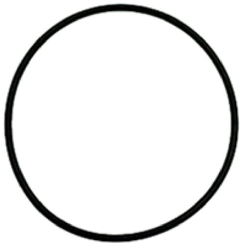 3122252. УПЛОТНИТЕЛЬ КОЛЬЦО