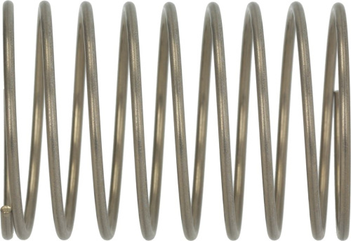 5073708. ПРУЖИНА Ø 49X72 MM RATIONAL 2001.0124