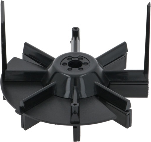 ЗВЕЗДОЧКА В СБОРЕ