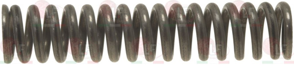 3250270. ПРУЖИНА ø8.5x41ММ CARPIGIANI IC178100250