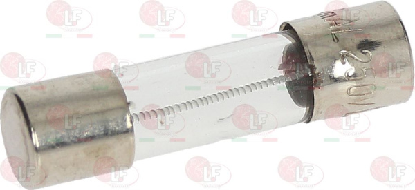 3049005. ПРЕДОХРАНИТЕЛЬ С ЗАМЕДЛЕНИЕМ Ø 5X20 ММ - 10 ШТ ELECTROLUX PROFESSIONAL 002820